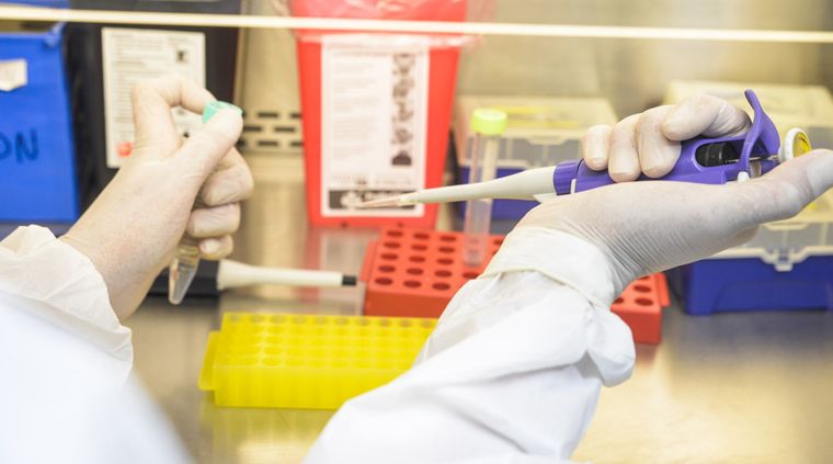 Foto: Gobierno de Mendoza