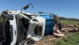 El hecho ocurrió en la Ruta 7. El hecho ocurrió en la Ruta 7.