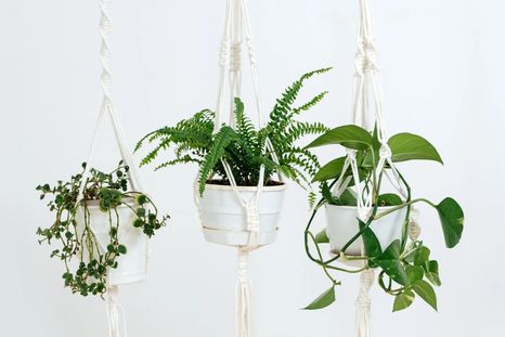 Recupera espacios. Recupera espacios.