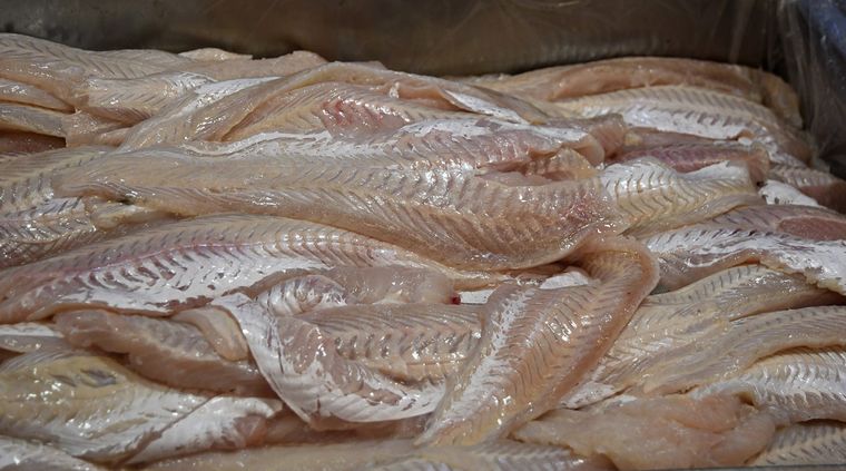 Compra de pescado para Semana Santa. Compra de pescado para Semana Santa.