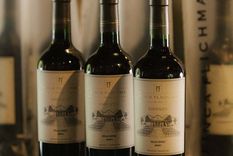 Presentan dos vinos accesibles que revalorizan un gran terruño