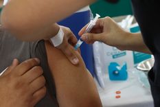 Veterinarios inocularon a personas vacunas para perros en una ciudad chilena