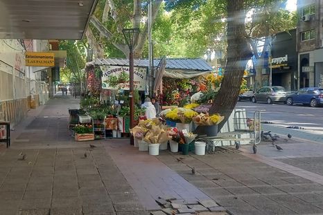 Al pie del emblema del Edificio Gómez en el Kilómetro 0 de la Ciudad de Mendoza el panorama es insostenible: feo, sucio y malo. Al pie del emblema del Edificio Gómez en el Kilómetro 0 de la Ciudad de Mendoza el panorama es insostenible: feo, sucio y malo.