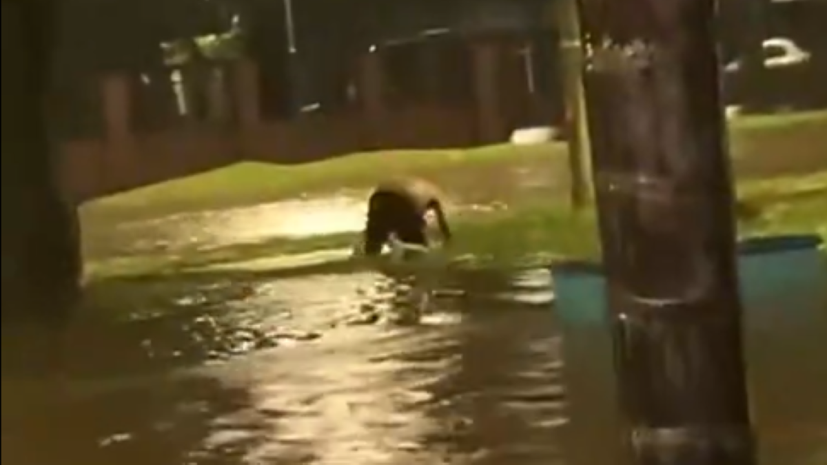 Temporal y tragedia en Tucumán: cómo murió el nene de 12 años que jugaba bajo la lluvia