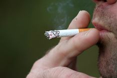 fumar Una planta que deben tener los fumadores. Foto: Fuente: Shutterstock