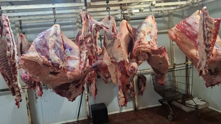 Parte de la carne secuestrada en un trozadero de Las Heras.&nbsp;