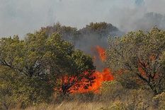 Foto: publicada en La Voz del Interior