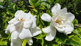 Verás el cambio en tu hogar. Verás el cambio en tu hogar.