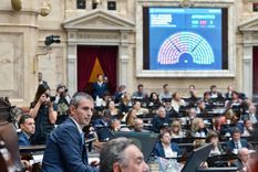 La ley ómnibus alcanzó media sanción en Diputados Foto: Prensa Diputados Argentina