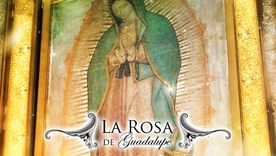 Rating La Rosa de Guadalupe