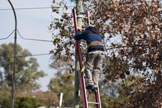 Foto: ALF PONCE MERCADO / MDZ