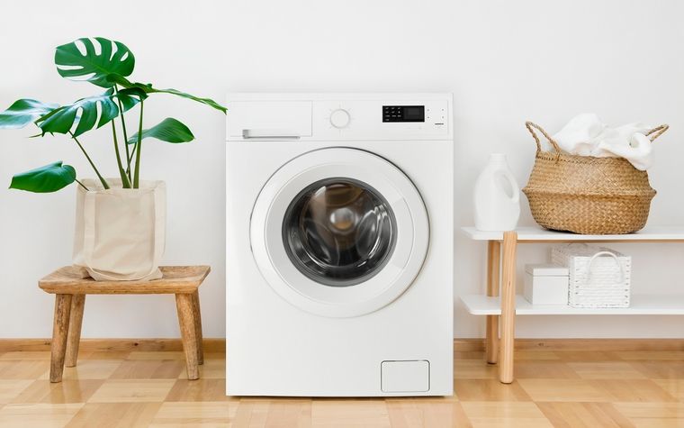Foto: IMAGEN: Shutterstock