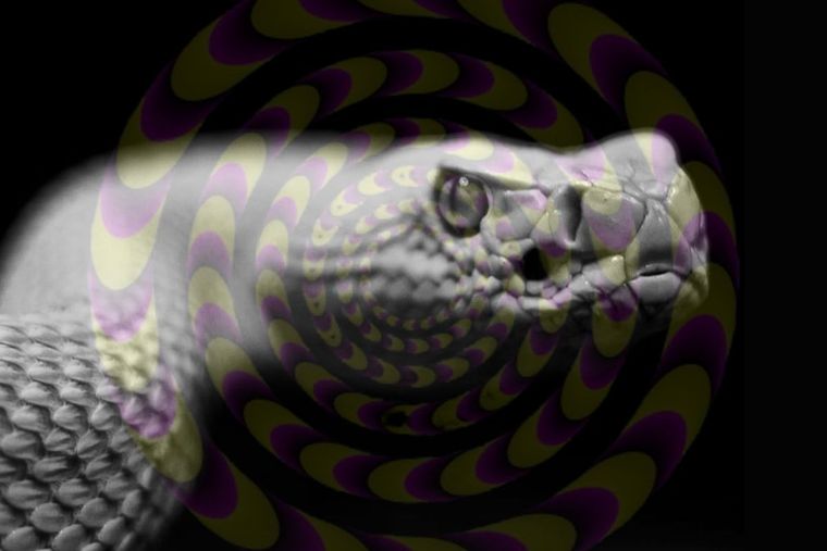 Test Visual Test Visual con ilusión óptica Foto: Canva