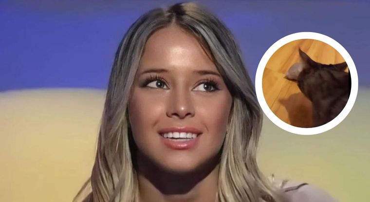 Zoe Bogach vivió un tremendo momento cuando presentó a su gata y a su hámster La ex Gran Hermano se asustó en un vivo de TikTok