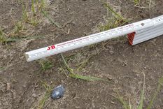 Fotografía de los posibles fragmentos de asteroide hallados cerca de Berlín (Alemania) Foto: EFE/ Cevin Dettlaff Museo De Historia Natural De Berlín