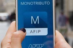 AFIP lanzó una nueva moratoria para monotributistas. Foto: AFIP