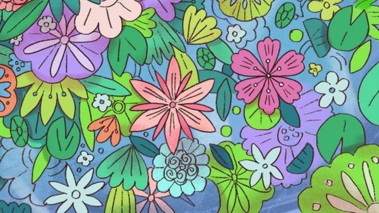 Acertijo visual, reto visual, tortuga Pinterest