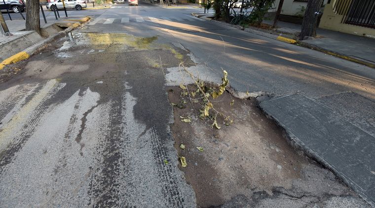 Imagen ilustrativa Foto: ALF PONCE / MDZ