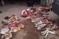 Una imagen del allanamiento. Una imagen del allanamiento.