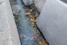 El agua servida corre libremente por las acequias del barrio. Foto: MDZ