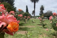 Es la primera vez que se lleva a cabo esta iniciativa Foto: Prensa Gobierno de Mendoza Es la primera vez que se lleva a cabo esta iniciativa Foto: Prensa Gobierno de Mendoza