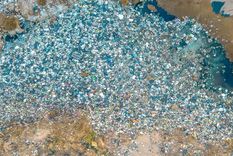 microplasticos: ¿por que estan en el aire y como afectan nuestro cerebro?