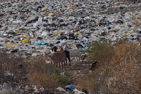 La Policía Rural intervino un establecimiento clandestino por incumplimientos bromatológicos, maltrato animal y abandono de menores. La Policía Rural intervino un establecimiento clandestino por incumplimientos bromatológicos, maltrato animal y abandono de menores.