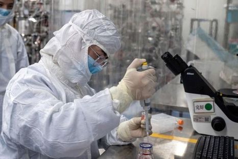 Un tipo de glóbulos blancos podrían ser cruciales en nuestra lucha contra covid-19.