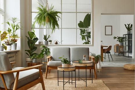 JARDÍN PLANTAS PARA DECORAR INTERIORES Foto: Shutterstock