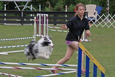 que es agility, la curiosa disciplina canina que llevo a un mendocino a competir en brasil