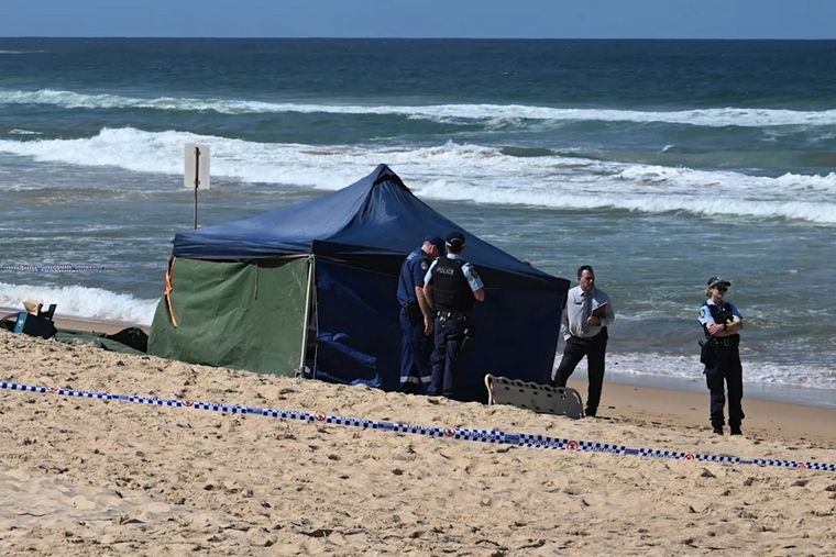 Un surfista falleció este sábado tras ser atacado por un gran tiburón cuando practicaba el deporte con unos amigos en una playa del norte de Sídney. Foto: EFE