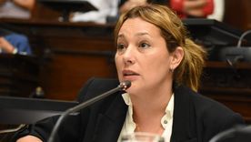 Tras un posteo en redes de la presidenta del bloque del peronismo en el Senado, se abrió una pelea por una banca en puja. Tras un posteo en redes de la presidenta del bloque del peronismo en el Senado, se abrió una pelea por una banca en puja.