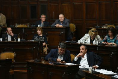 MDZol | Foto: Pachy Reynoso/MDZ