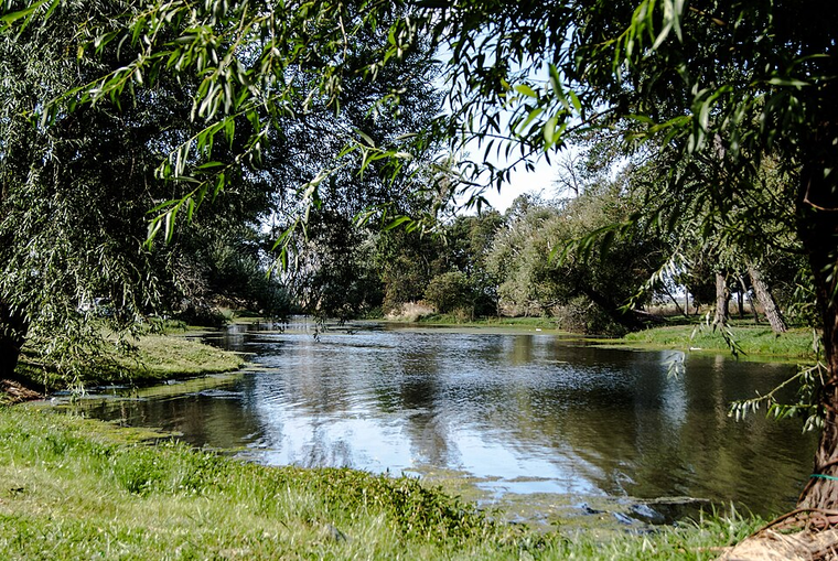 En este pueblo de Balcarce, la tranquilidad del campo convive con una reserva natural y una identidad turística cada vez más visible. En este pueblo de Balcarce, la tranquilidad del campo convive con una reserva natural y una identidad turística cada vez más visible.