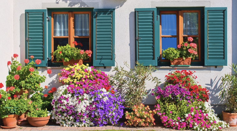 Las flores aportan una belleza única al entorno Foto: Shutterstock