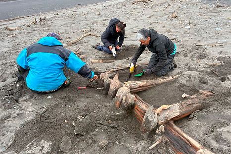 Relevamiento de restos de embarcación en Bahía Franklin, en la Isla de los Estados. Relevamiento de restos de embarcación en Bahía Franklin, en la Isla de los Estados.