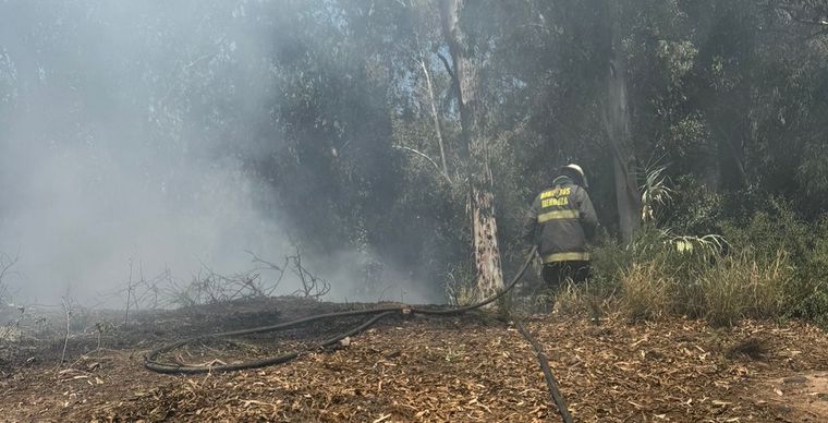 En el incendio trabajaron dos dotaciones de los bomberos del Cuartel Central.&nbsp;