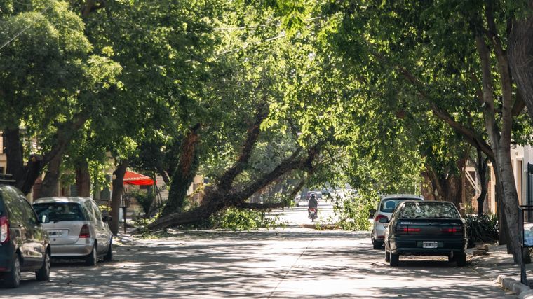 Hay alerta naranja por Zonda para este lunes y martes en Mendoza. Foto: Santiago Tagua/MDZ