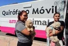 Atención veterinaria gratuita en Godoy Cruz. Atención veterinaria gratuita en Godoy Cruz.