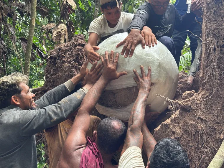 El hallazgo que se realizó en el Amazonas.&nbsp;