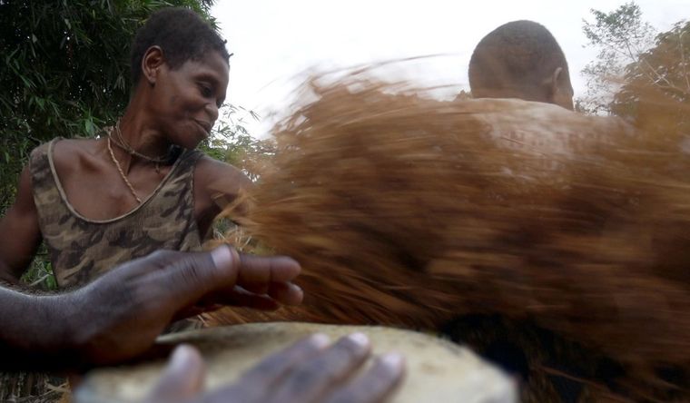 Los cazadores-recolectores BaYaka en el Congo tocan instrumentos musicales y bailan. Foto: Dpa.