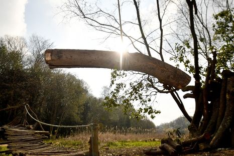 Rarísimo video: caía al agua, pero antes levitó un instante