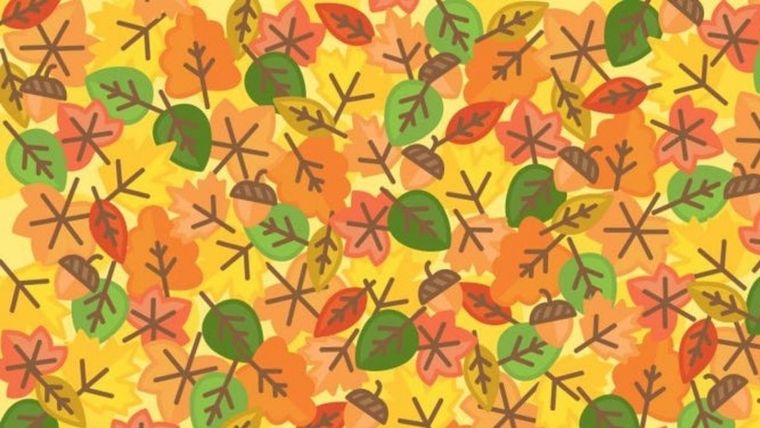 Acertijo visual, reto visual, El Sol Foto: Pinterest