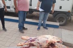 Parte de la carne secuestrada