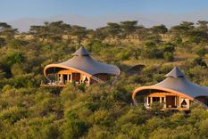 Las 12 tiendas están ubicadas en un entorno natural único. Foto: Foto: Mahali Mzuri