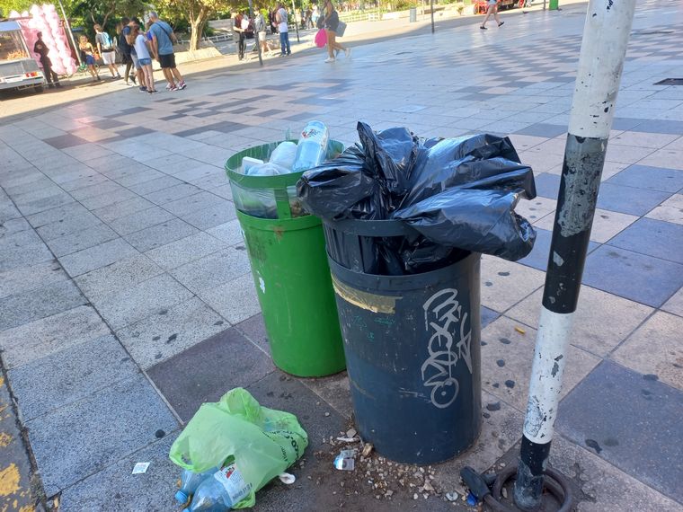 Una investigación de la Universidad Nacional de La Plata investiga cómo mitigar el daño ambiental que produce este residuo.