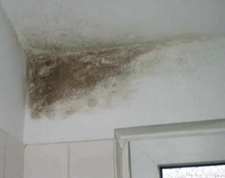 La humedad es uno de los problemas más frecuentes en las casas. Foto: archivo