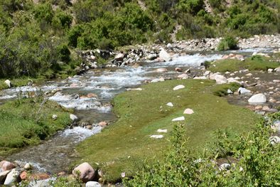 MDZol | paso de los puntanos