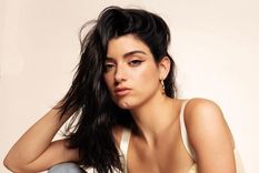 Dixie D Amelio, Charli D Amelio, TikTok