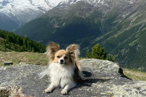 Filip tiene 2 años y medio. Filip tiene 2 años y medio.
